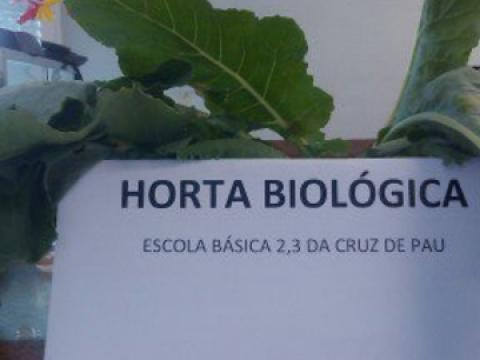 Horta Bio_Cruz de Pau_Cesto com a recolha dos produtos da horta da escola (prof/alunos)